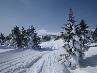 �U��Ԃ�Ɗ��c�x�������ɂȂ��Ă����B����͑����ȁ`