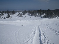 �ό����[�g�����f���čX�ɐi�ށB