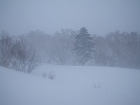 �R���ւ̕���̂�����B���Ȃ�̐��Ⴊ�P���Ă��܂��I�I