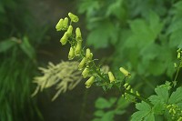 �G�]�m���C�W���\�E