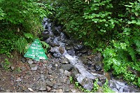 冷水の沢。いちおう水場になっている。