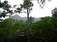 やっと尾根に出る。