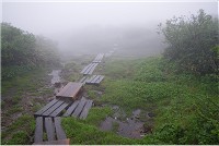 �O�x�����B�K�X�őS�͔̂���Ȃ����ǍL���݂������B