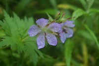 �`�V�}�t�E��