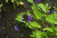 �~���}�E�c�{�O�T