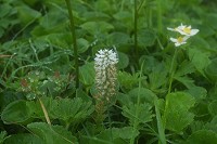 ���E�p���\�E