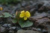 �V�\�o�L�X�~��