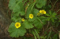 �~���}�_�C�R���\�E