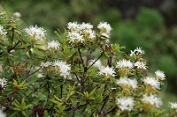 �G�]�C�\�c�c�W