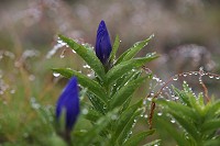 �G�]�����h�E