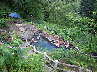 ���㉷�򂩂痣�ꂽ�Ƃ���ɂ��鍬���I�V���C�B