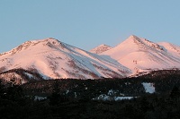 ��Ƃ̎�􂪐��܂�I�I