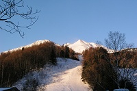 �h�ɑO�̃Q�����f���ق�̂�Ɛ��܂��Ă����B