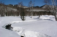 ῂ�����m����������B