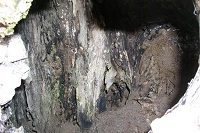 �I�j�O���~�̊��ɊJ�������̒��B