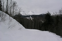 �p�t�p�t�łȂ��ԓ�������B