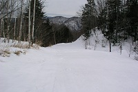 �r������X�L�[�p�̃c�A�[�R�[�X��������B