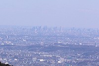 �V�h���s�S���͂�����ƌ����Ă����B