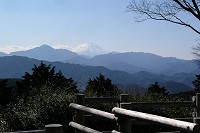 �����R�R������̕x�m�R�B