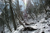 �X�ɌX�΂������R���B��Ŋ���E�E�E�B