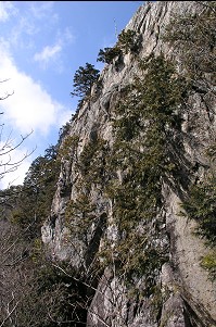 �����R�O���قǂ̂Â��I�I