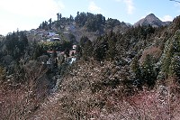 �䍖�_�Ђ̌�ԎR�̏W���Ɖ��̉@�̂��������R�B