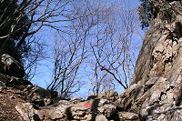 �n�����L���b�g�H�H(^^;