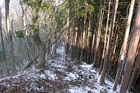 ��������̉�����}�X�΁`(+_+)