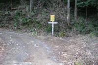 �R���̍Ō�̕W���B��������ѓ��ƕ��ʂ̓������X�Ɖ���B