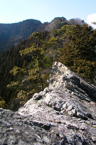 �Â��㕔�̊�̕�B