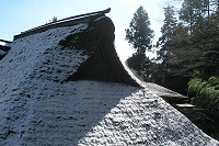 ����Șm�������������������Ō���ꂽ�B