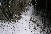 �������͐�̓��`�`