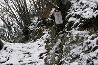 �������ӂ̊Ŕ����������ɁI�I