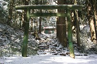 ��x�_�Ђ̒����B������������B