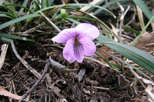 �A�P�{�m�X�~��