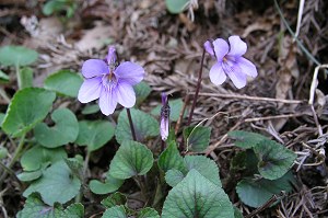 �A�J�t�^�`�c�{�X�~��