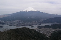 �W�]�䂩��͕x�m�R�̑唗�́I�I