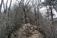 ���\�c���C�}��ł����B