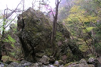 ��₪�S���S��