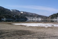 �ۏ��͑S�ʉ�X�ŁA�����̒ނ�q�����Ă����B