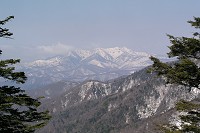 �����c����������B�����������Ă����B