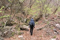 �����t�̓����T�N�T�N�o��B