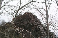 �Ő�����͊ݕ�̊}�ێR�̒���������I�@�q�F�`