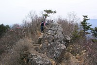 �R���͍ג��������ł��B