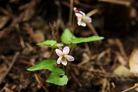 �q�i�X�~��