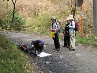 �����w�̊፷���̒��A�B�e�ɋ΂��މԌ�����B