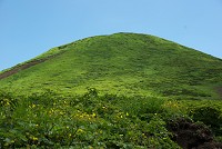 �j���x���傫�������Ă���I