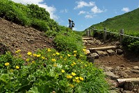 ������ƕ����ɂ����������΂��i�ށB