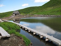 ����ɒr�̂܂��͖ؓ��Ŏ��V�ł���B�k���[�ɔ���������B