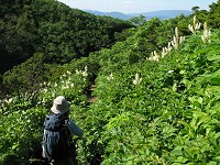 �R�o�C�P�C�\�E�炭�R��������܂��B